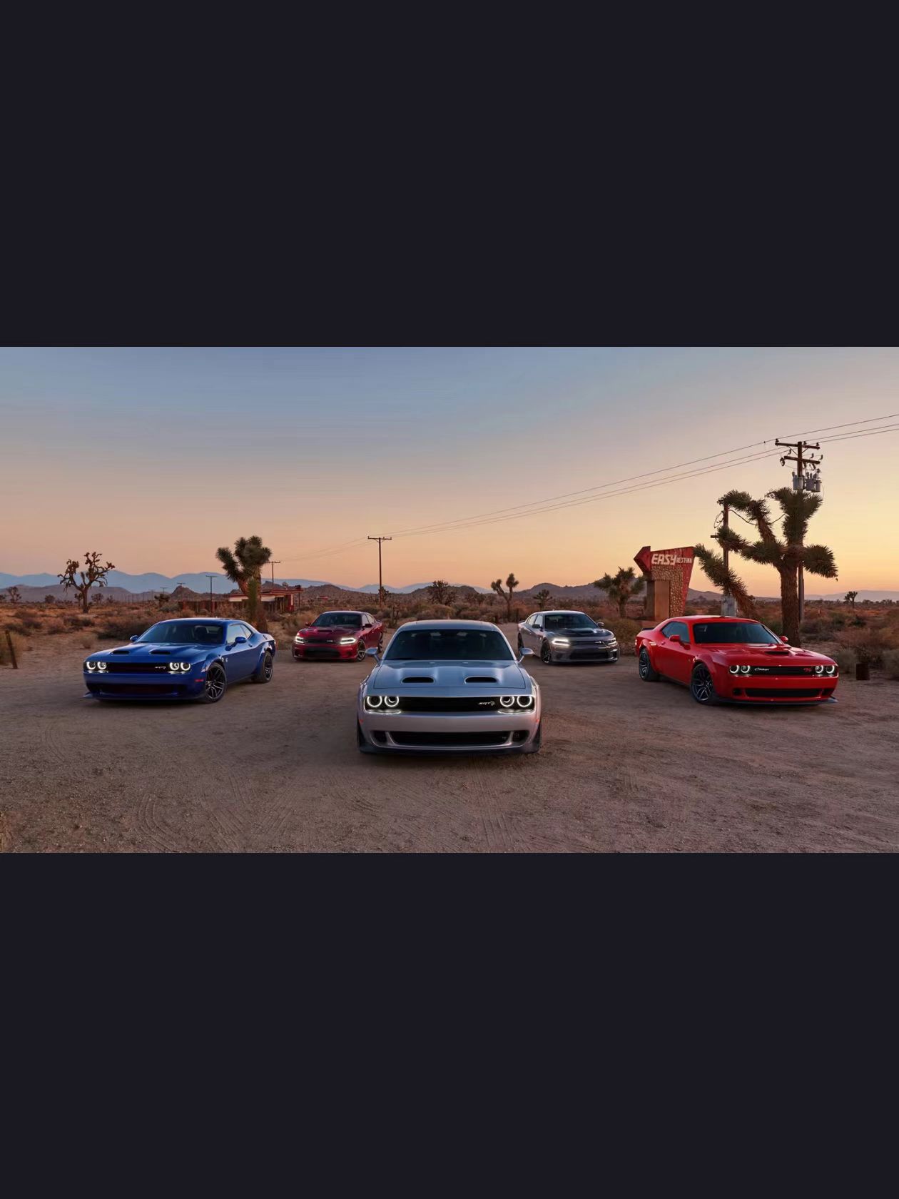 367b3d7f61147e4a14f492cf840bb26.jpg