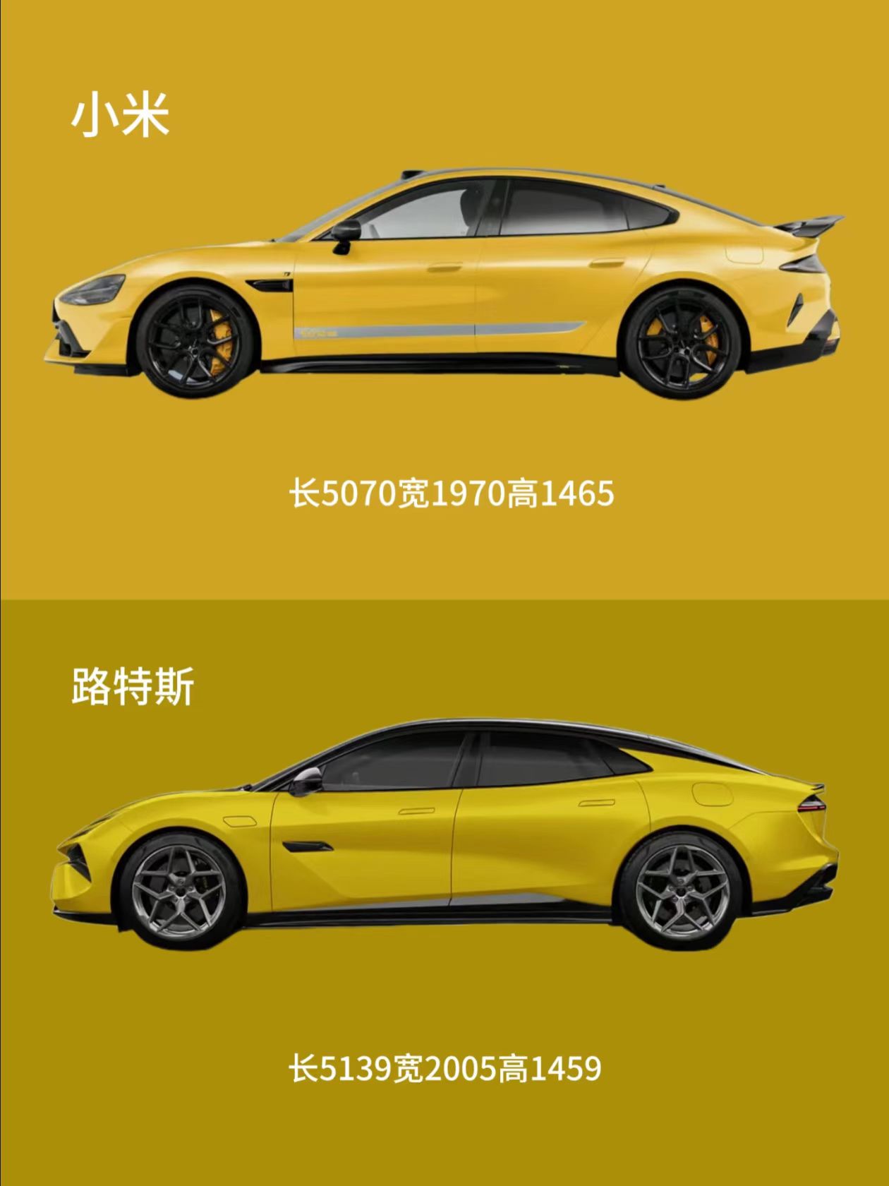 a94830e63e830efd0d40fd706e82651.jpg